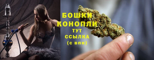 сатива Лихославль