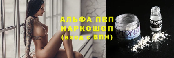 сатива Лихославль