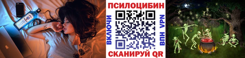 MEGA ССЫЛКА  Елец  Псилоцибиновые грибы Cubensis 