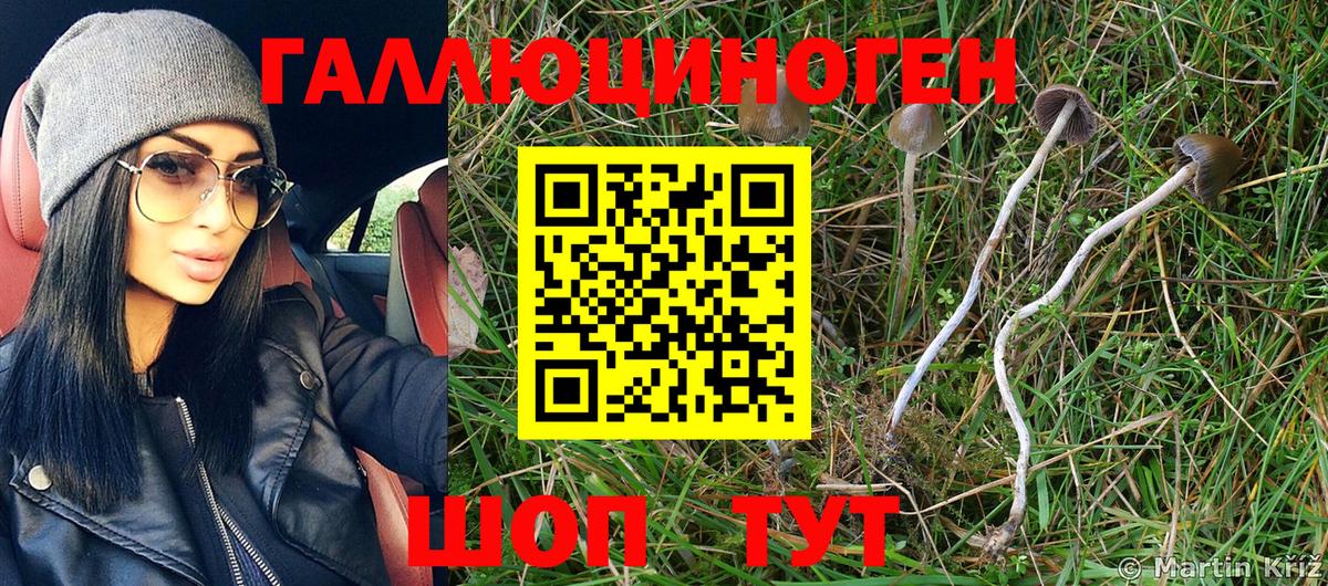 Елец  Галлюциногенные грибы MAGIC MUSHROOMS  Вход с VPN 