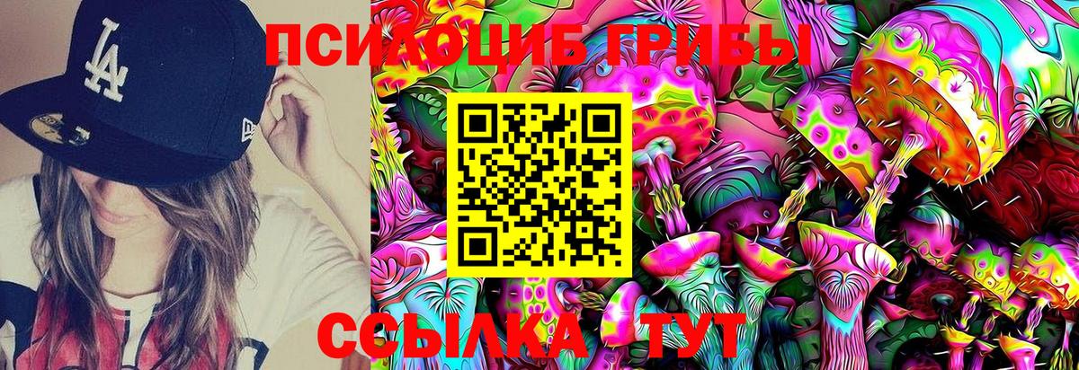 Псилоцибиновые грибы Magic Shrooms Елец