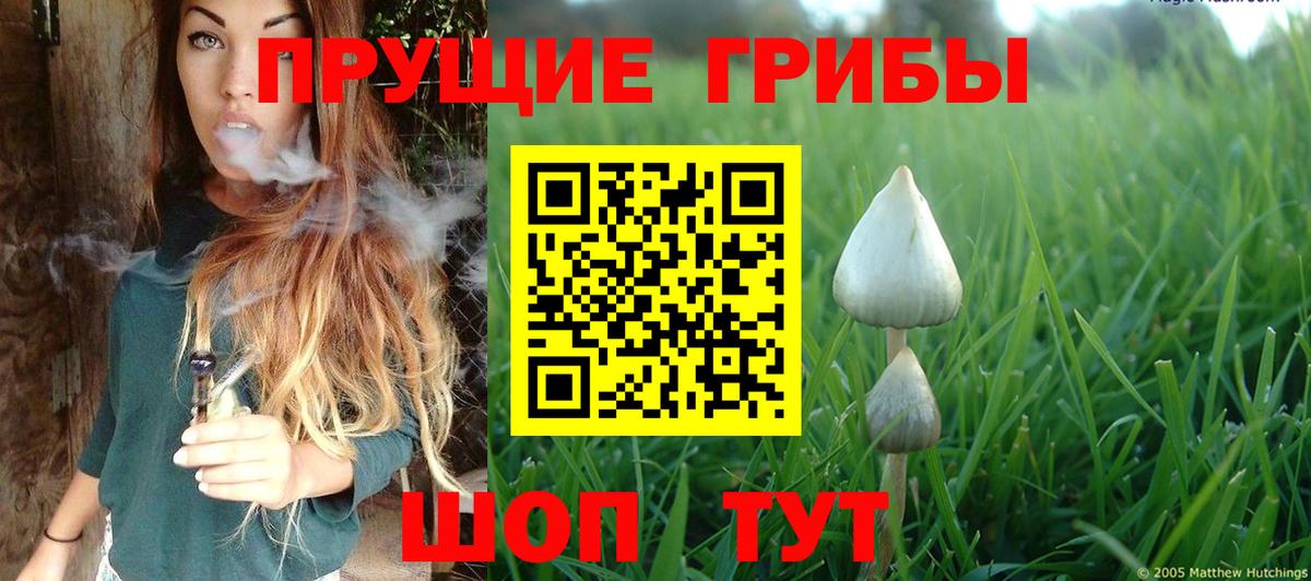 Галлюциногенные грибы Magic Shrooms Елец