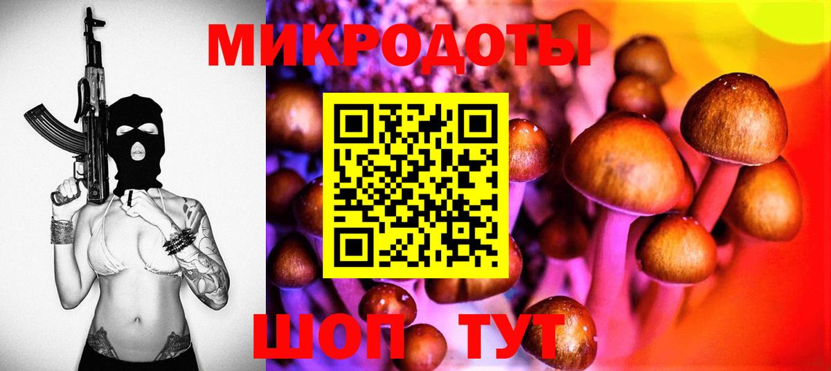 Псилоцибиновые грибы Psilocybine cubensis  Елец 